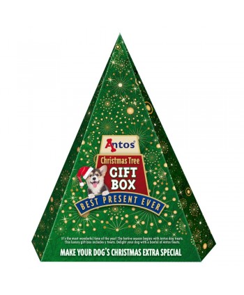 Christmas Gift Box (5 treats) 450 g