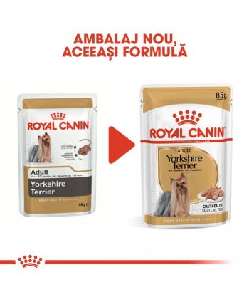 Royal Canin Yorkshire Terrier Adult hrana umeda...