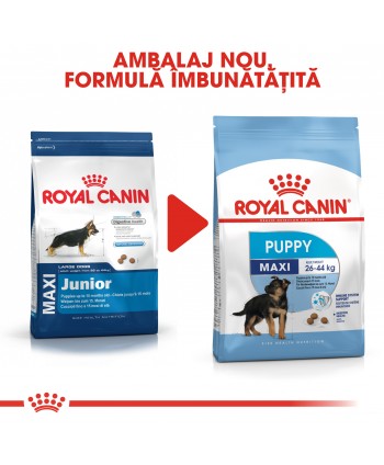 Royal Canin Maxi Puppy hrana uscata caine...