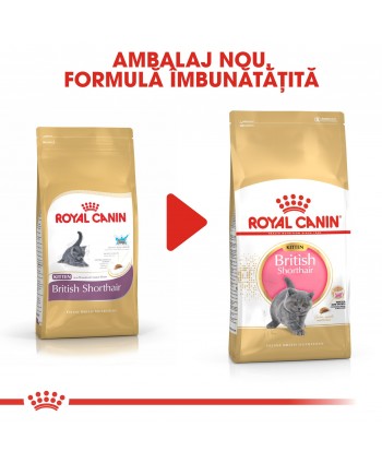 Royal Canin British Shorthair Kitten hrana...