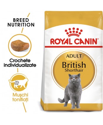 Royal Canin British Shorthair Adult hrana...