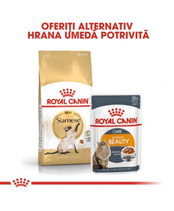 Royal Canin Siamese Adult hrana uscata pisica,...