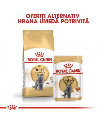 Royal Canin British Shorthair Adult hrana umeda...